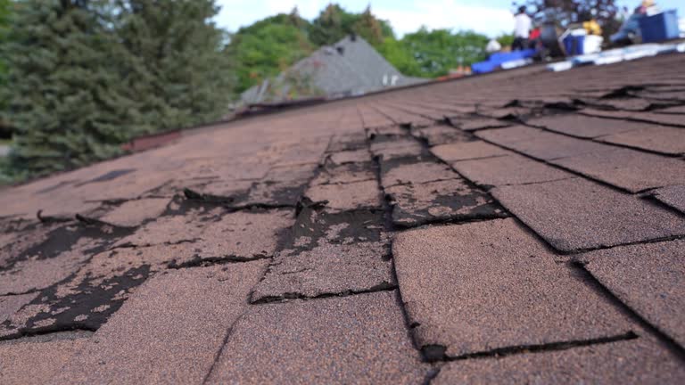 Best Green or Eco-Friendly Roofing Solutions  in Minster, OH