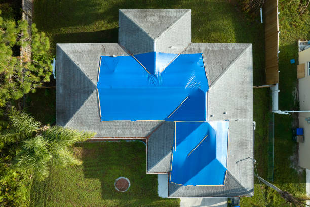 Best Asphalt Shingles Roofing  in Minster, OH