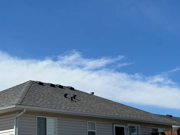 Best Roof Coating and Sealing  in Minster, OH